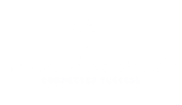 Landing Page CaddyConnect Logo Only (260 × 150px)